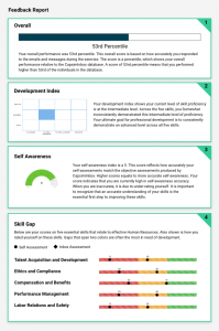 capsiminbox-hr-sample-feedback-report