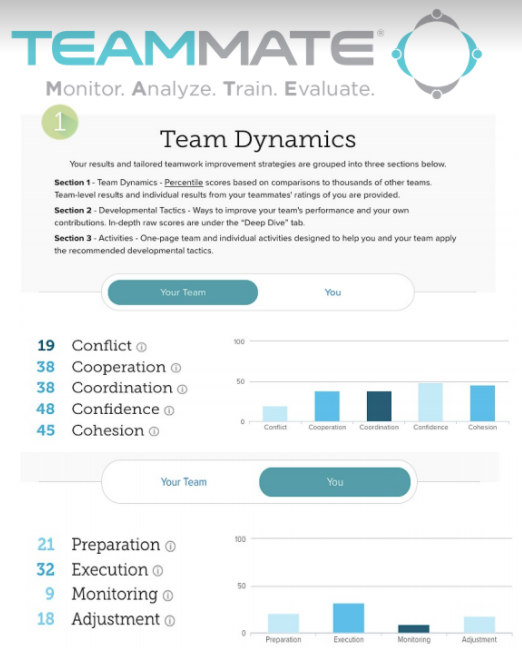 Team Dynamics 