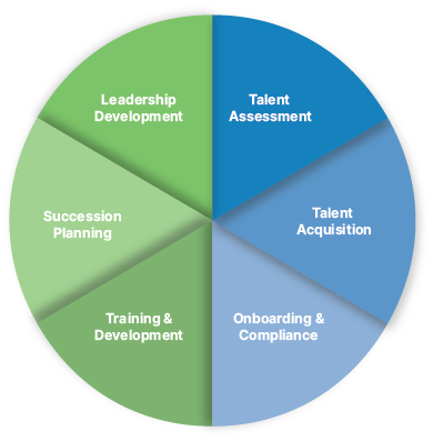 Talent Management Process